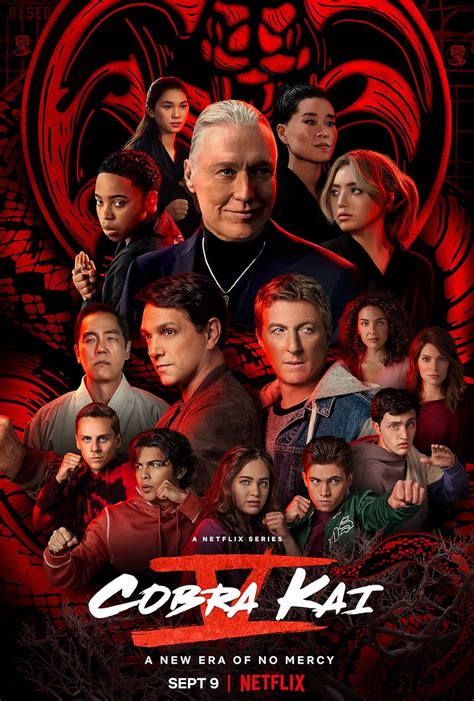 Cobra Kai (TV Series 2018–2025)